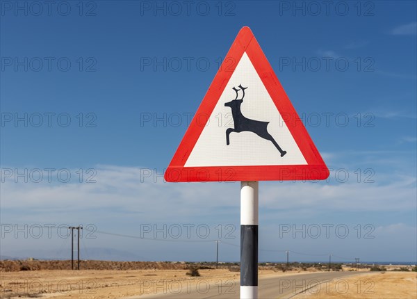 Wild animal warning road sign