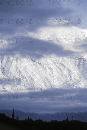 Snow covered mountain slope of Mount McKinley with silhouetted trees