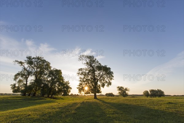 Biosphere Reserve Biosphaerenreservat Flusslandschaft Elbe