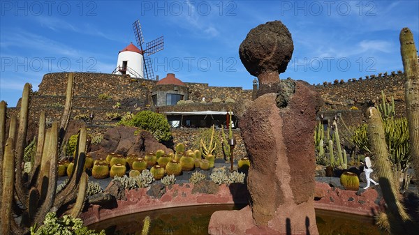 Jardin de Cactus