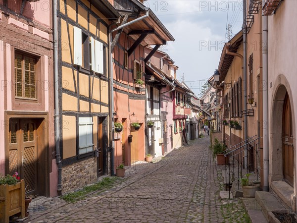 Colourful half-timbered houses in the centre of the old town