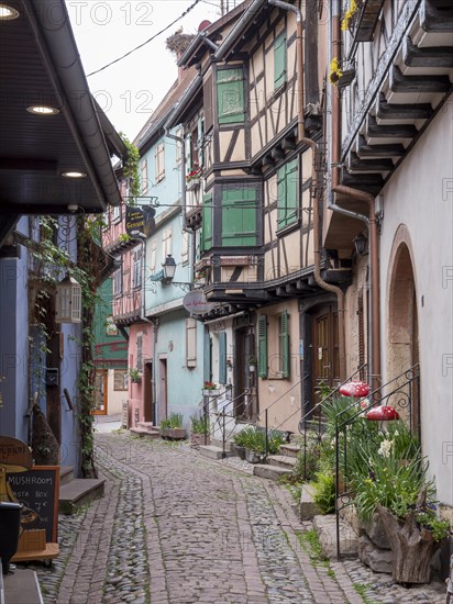 Colourful half-timbered houses in the centre of the old town