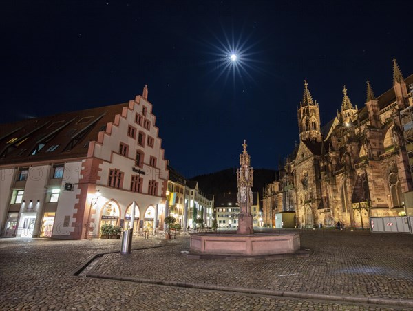 Minster and fountain by moonlight