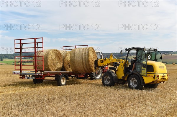 Round bales are loaded with a wheel loader