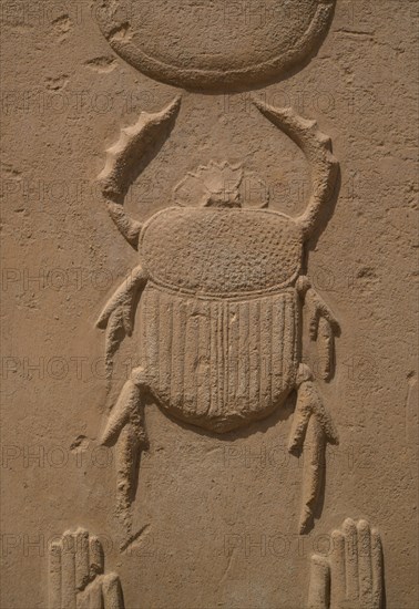 Scarab