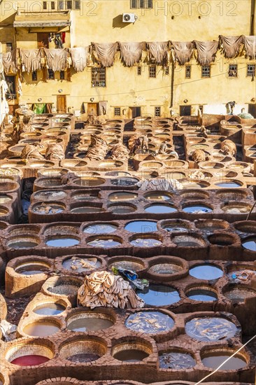 Famous skin tannery in Fes