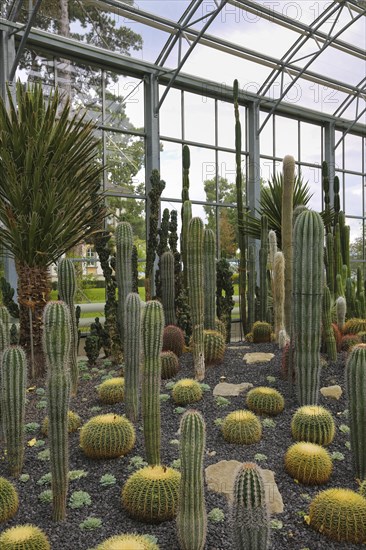 Glass plant house in the villa gardens by the lake