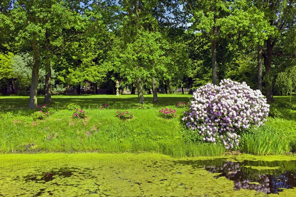 Luetetsburg Castle Castle Park