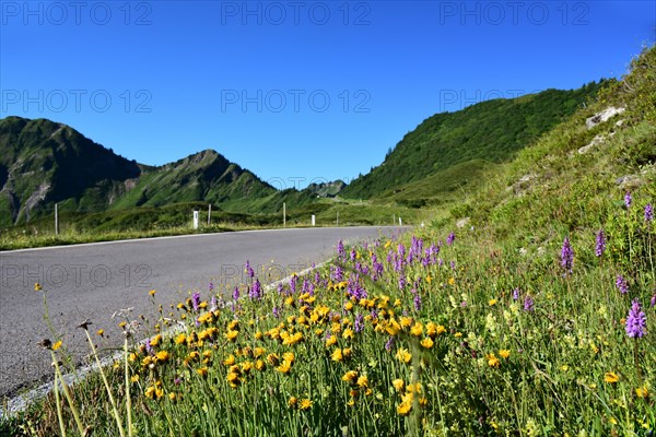 The Furka Pass in the Bregenzerwald