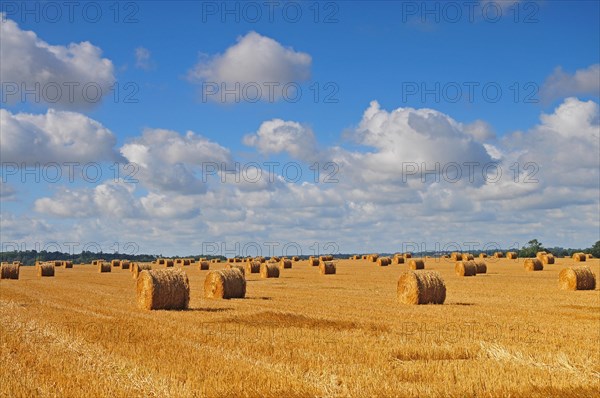 Straw bales on a harvested wheat field in Normandy