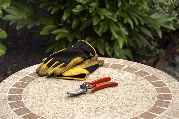 Secateurs and gloves on a garden table