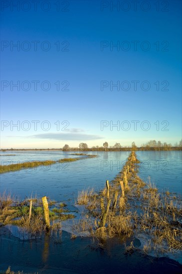 Flooded nature reserve Breites Wasser near Worpswede