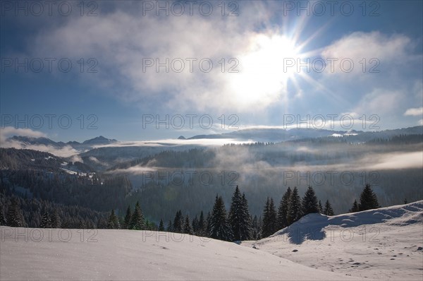 View from the Mittelalpe above the Riedberg Pass into the Kleinwalstertal Mountains