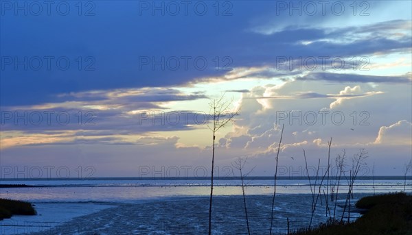 Wadden Sea near Spieka Neufeld in the district of Cuxhaven