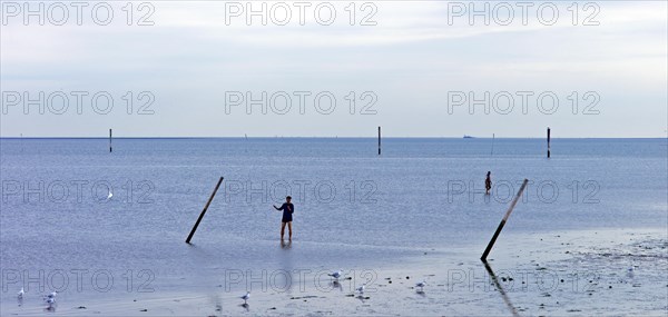 Mudflat walkers in the mudflats off Dornumersiel