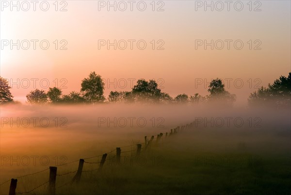 Sunrise in the Breites Wasser nature reserve near Worpswede