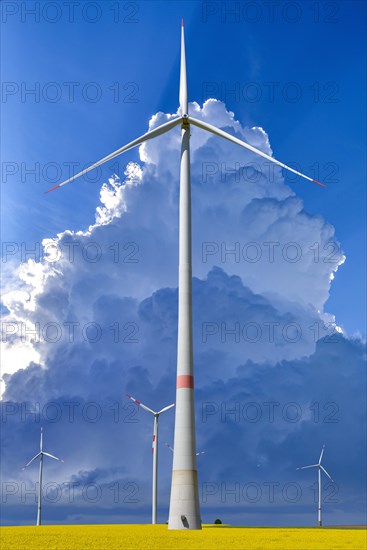 Wind turbines in a rape field in Bavaria