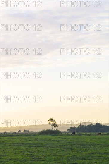 After sunrise in the Breites Wasser nature reserve with a view of the Weyerberg