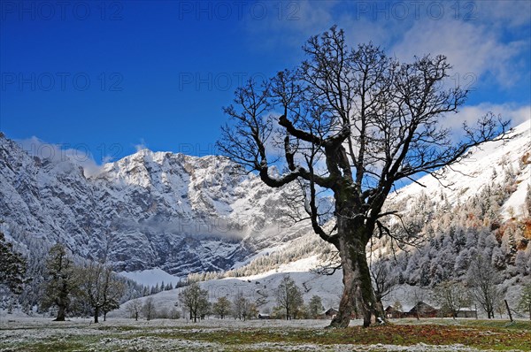 View of Alpe Eng