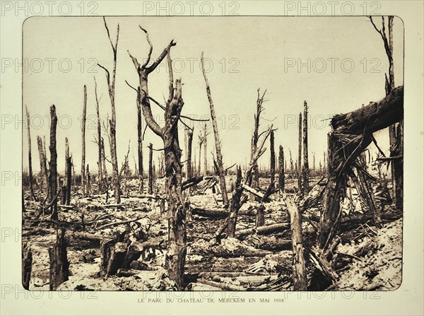 Broken trees after bombardment