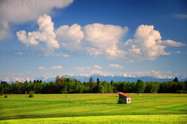 Meadows near Raisting