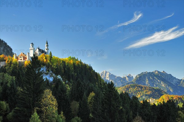 Neuschwanstein Castle in Schwangau