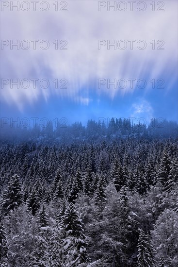 The sun breaks through the high fog at the Riedberg Pass near Obermaiselstein in Allgaeu