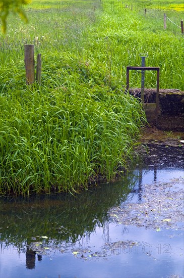 Small siel in the Wuemmewiesen of Bremen Borgfeld