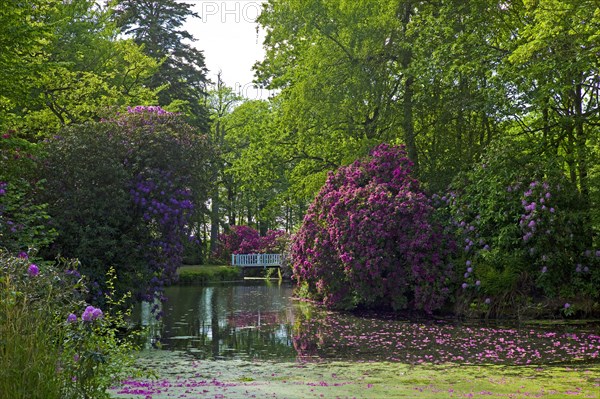 Luetetsburg Castle Castle Park