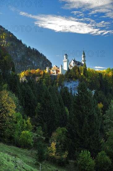 Neuschwanstein Castle in Schwangau near Fuessen