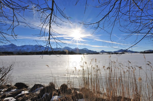 Lake Hopfen