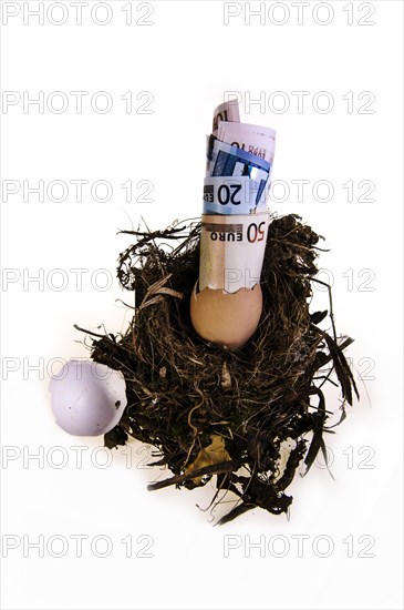 Birds nest with broken egg shell and Euro banknotes spilling out