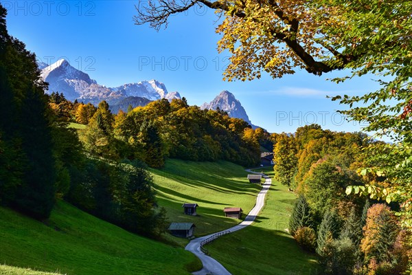 Alpine pasture above Garmisch in the Wetterstein Mountains