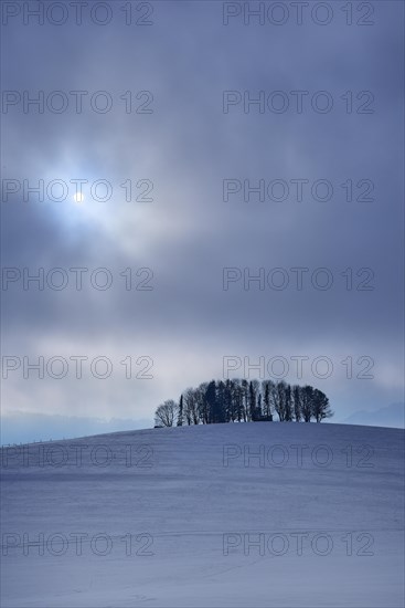 Winter atmosphere with high fog and sun in Bavaria