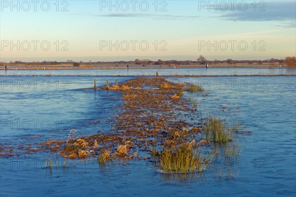 Flooded nature reserve Breites Wasser near Worpswede