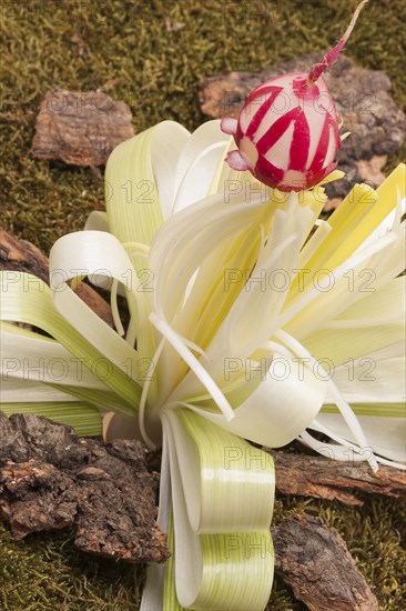 Decorative flower carved from leek and radish