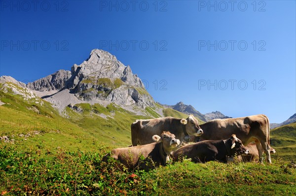 Roggalspitze