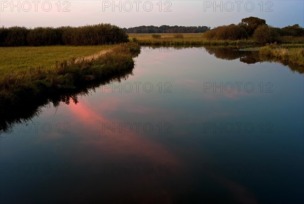 Evening atmosphere in the Breites Wasser nature reserve