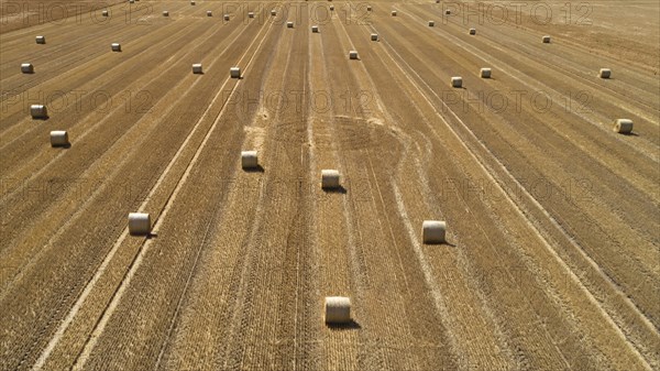 Aerial view of straw bales on a harvested wheat field
