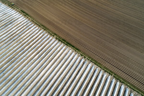 Aerial view field asparagus cultivation near Schrobenhausen in Bavaria