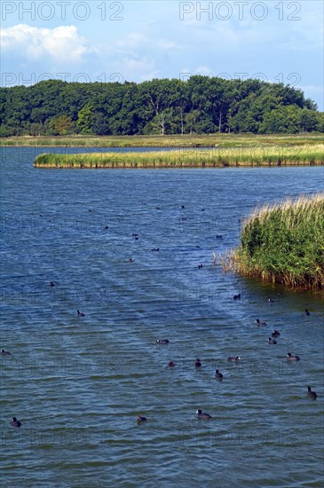 Steinwarder nature reserve