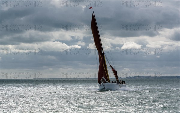 Thames barge niagara