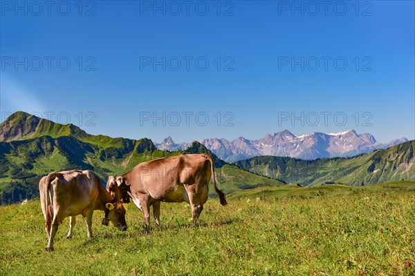 View from the Ugaalpe above Damuels in the Bregenzerwald in southern direction