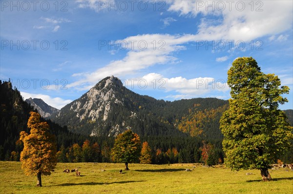 The Wanker spot above Halblech