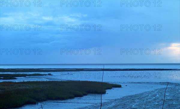 Wadden Sea near Spieka Neufeld in the district of Cuxhaven