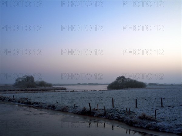 Winter scene in front of sunrise in the Breites Wasser nature reserve near Worpswede in the district of Osterholz