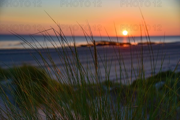 Sunset in the dunes near Surville in Normandy