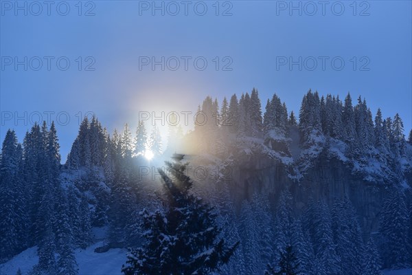 The sun breaks through the high fog at the Riedberg Pass near Obermaiselstein in Allgaeu