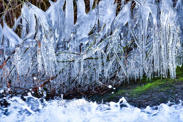 Branch with icicles on a torrent in West Allgaeu