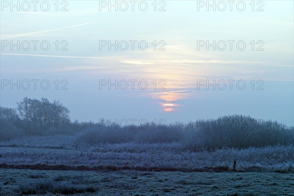 Sunrise in the Breites Wasser nature reserve in Worpswede